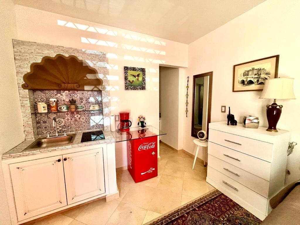 Small Pet Friendly, Pool And Gym Apartment San Miguel de Allende Bagian luar foto