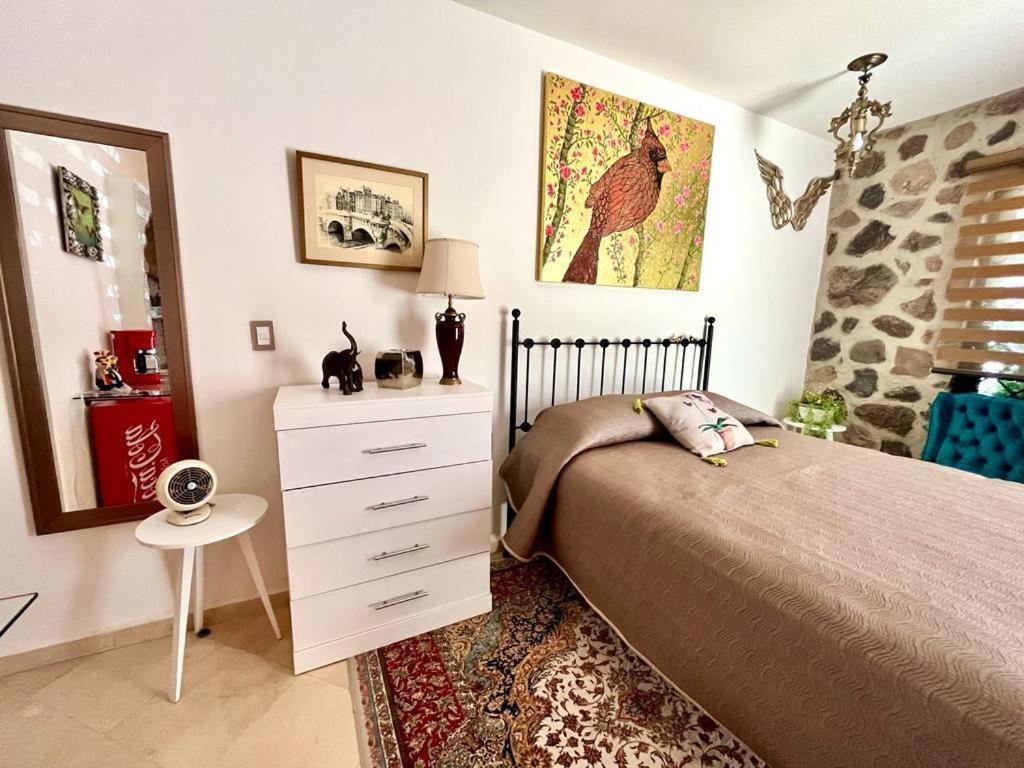 Small Pet Friendly, Pool And Gym Apartment San Miguel de Allende Bagian luar foto
