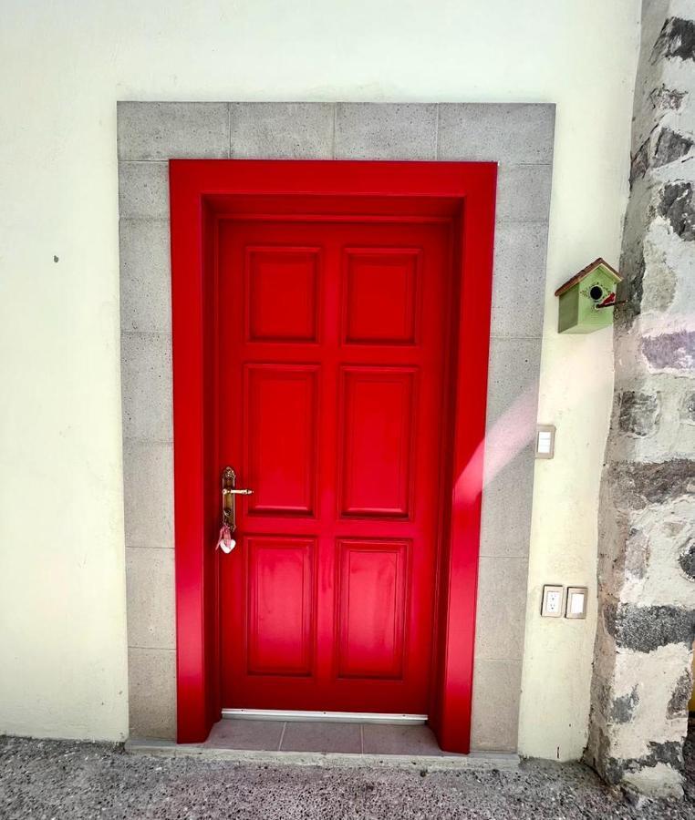 Small Pet Friendly, Pool And Gym Apartment San Miguel de Allende Bagian luar foto