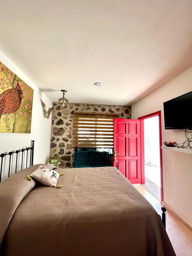Small Pet Friendly, Pool And Gym Apartment San Miguel de Allende Bagian luar foto